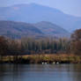 Cruising on the Rhone