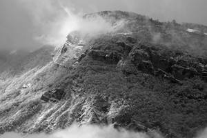 Chartreuse Fog Lifting