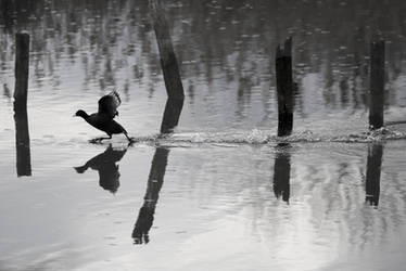 Walking on Water