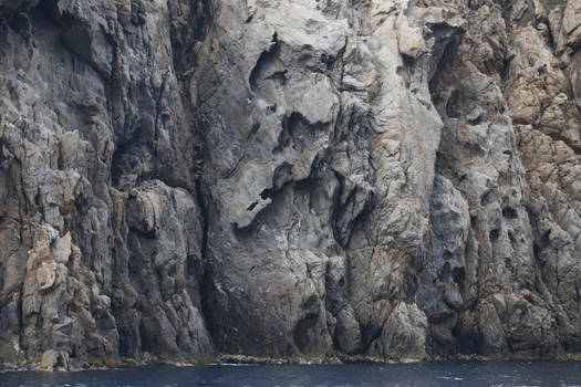 organicvision - Professional, Photographer | DeviantArt