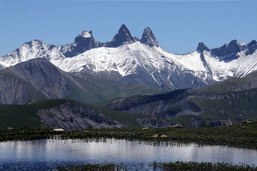 organicvision - Professional, Photographer | DeviantArt