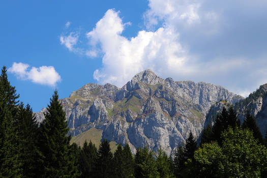 organicvision - Professional, Photographer | DeviantArt