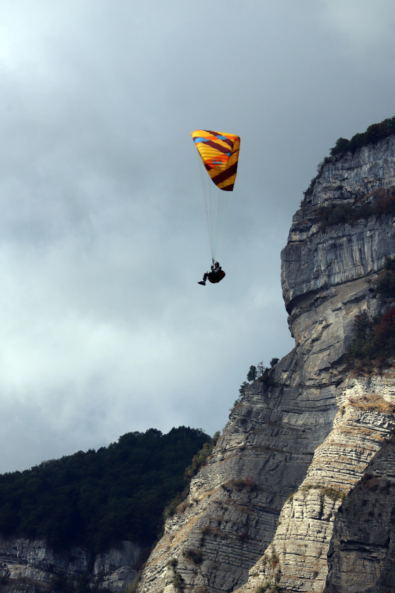 About Face by organicvision on DeviantArt