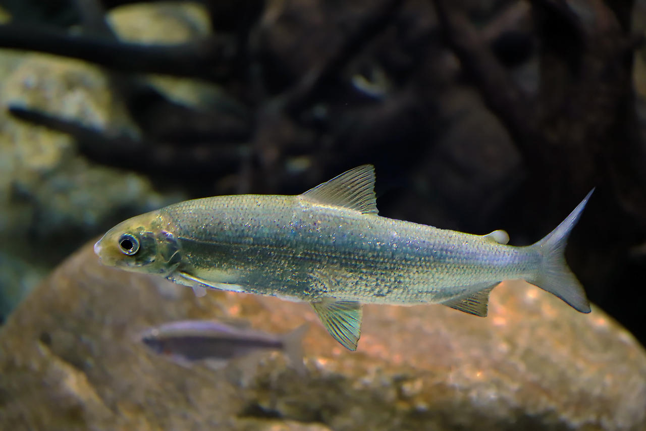 Different Names by organicvision on DeviantArt