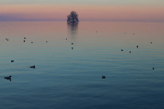 organicvision - Professional, Photographer | DeviantArt