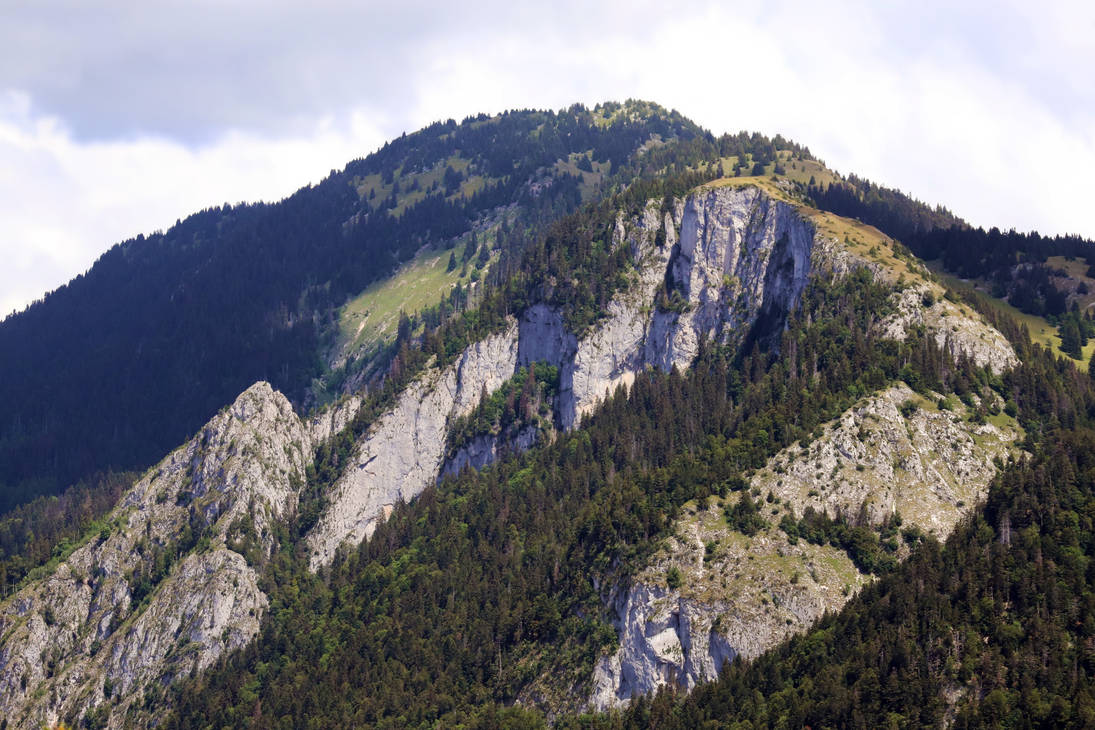 250 Million years by organicvision on DeviantArt