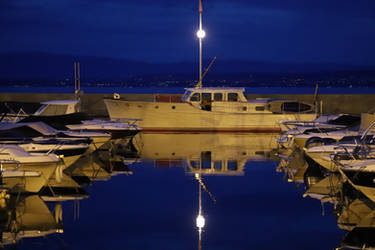 Bumpy Ride by organicvision on DeviantArt