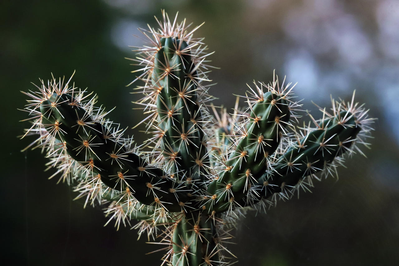 On the Defensive by organicvision on DeviantArt