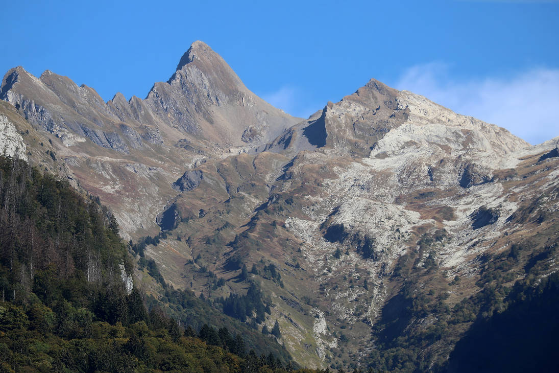 Summer's End by organicvision on DeviantArt