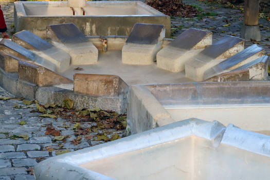 organicvision - Professional, Photographer | DeviantArt