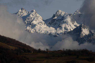 organicvision - Professional, Photographer | DeviantArt