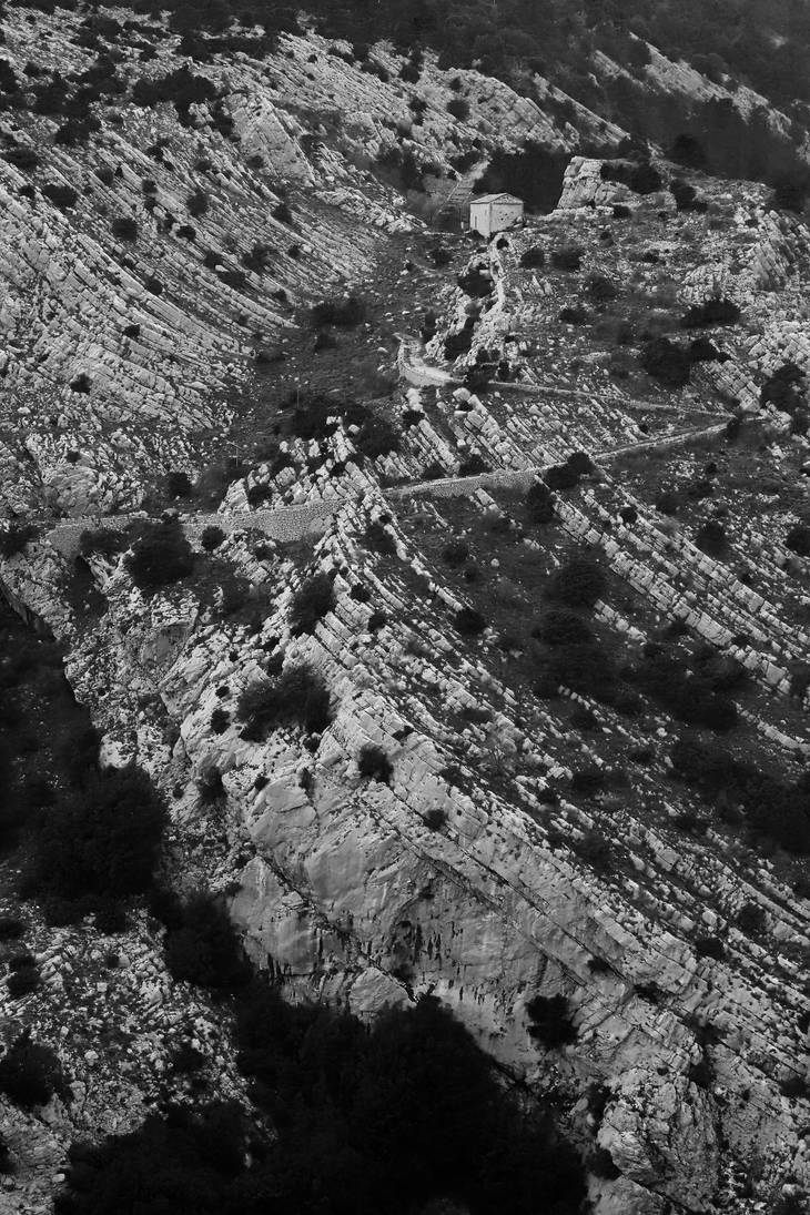 A Long Way Home by organicvision on DeviantArt