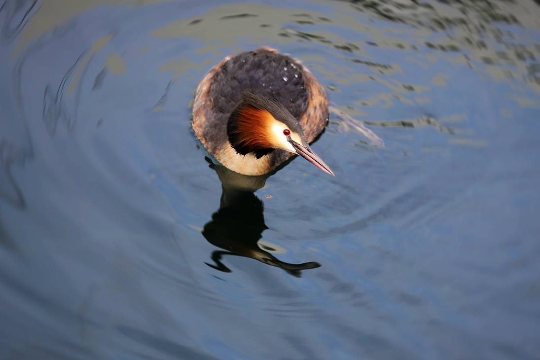 360 Search by organicvision on DeviantArt