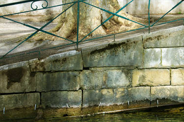 organicvision - Professional, Photographer | DeviantArt