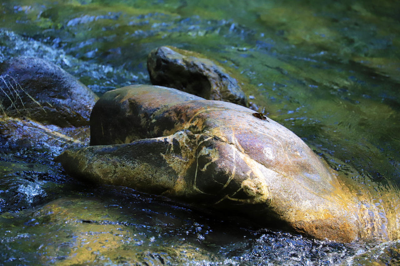 Up for Air by organicvision on DeviantArt