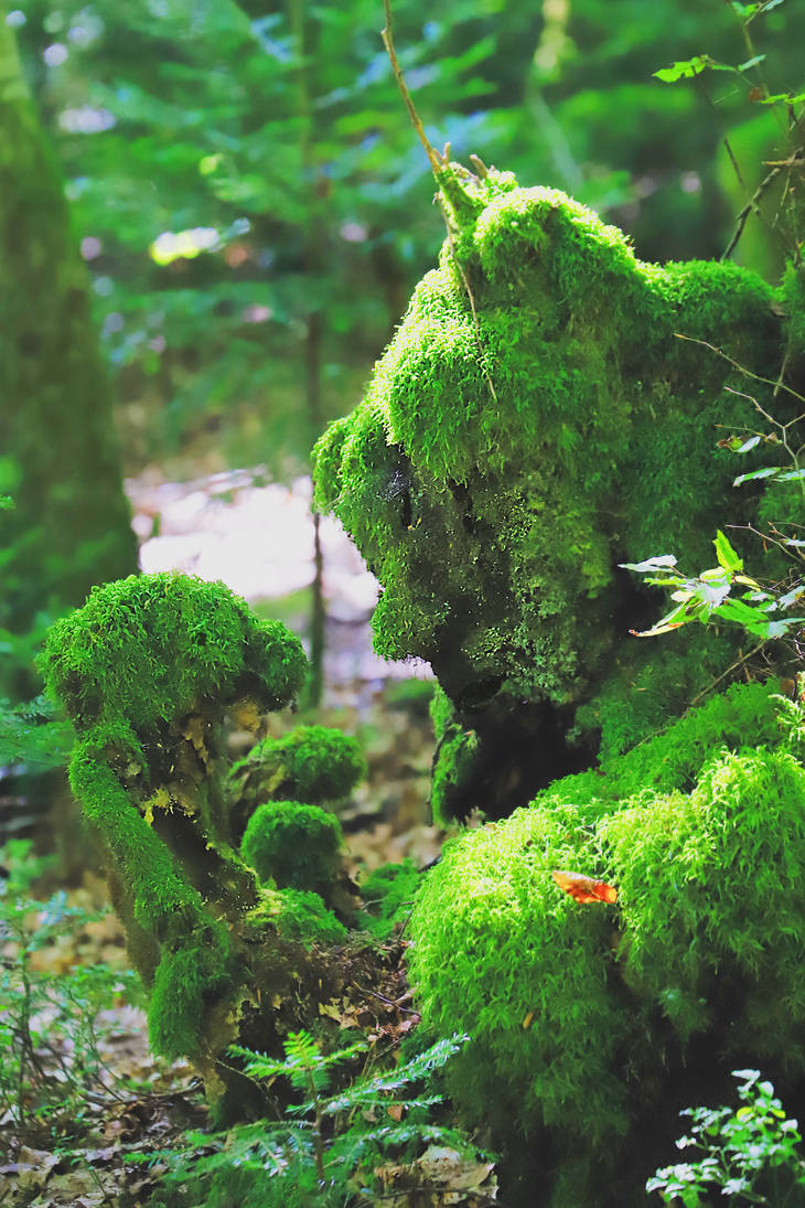 Gathering Moss by organicvision on DeviantArt