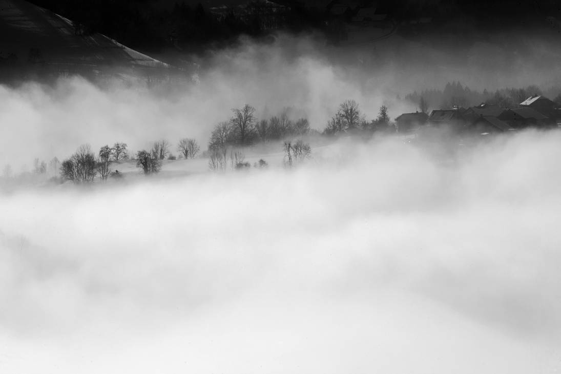 Peaking Through by organicvision on DeviantArt