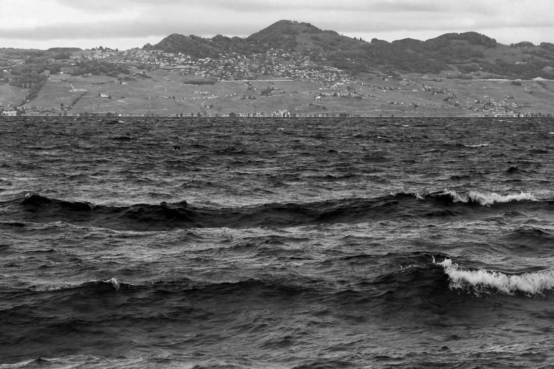 Bumpy Ride by organicvision on DeviantArt