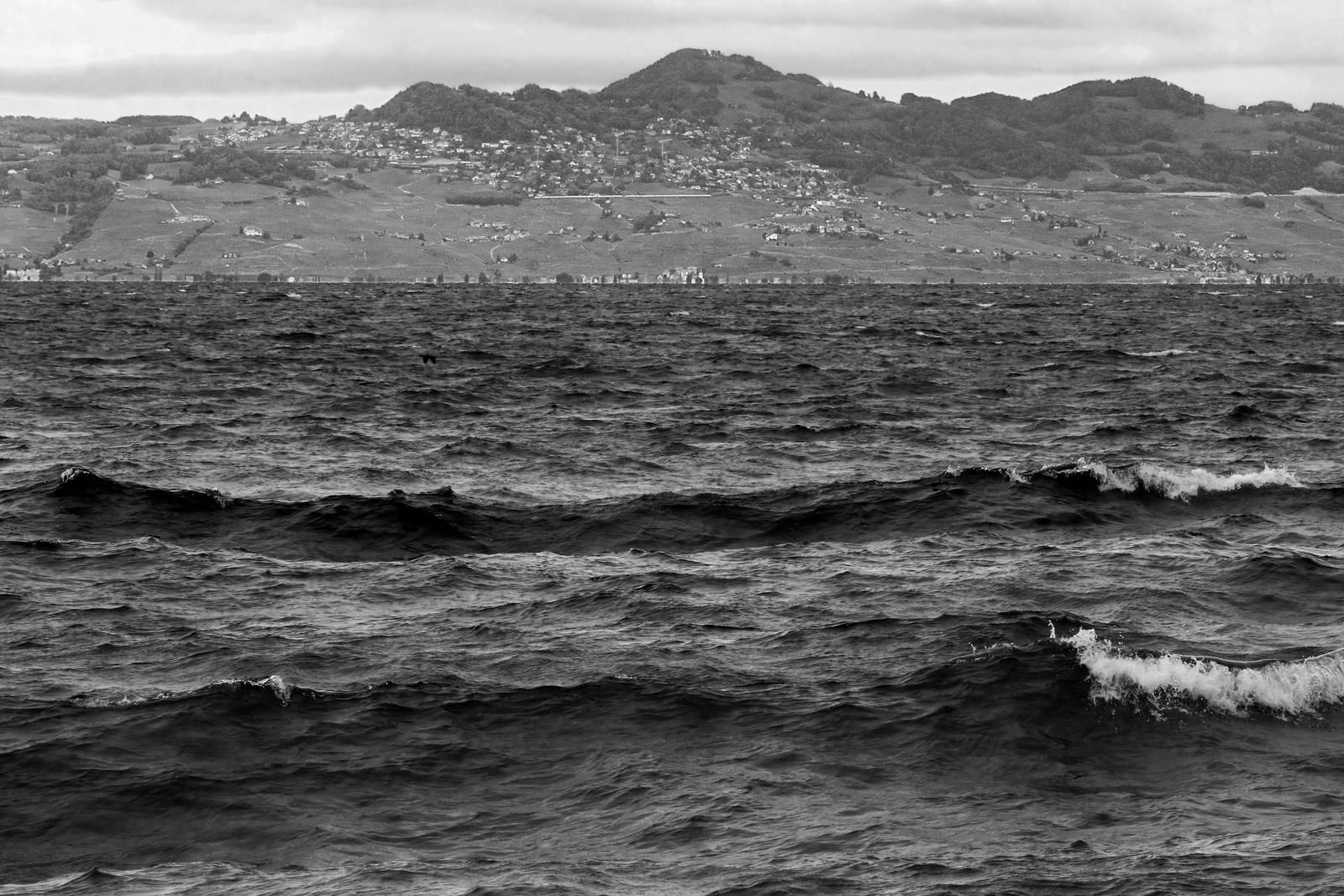 Bumpy Ride by organicvision on DeviantArt