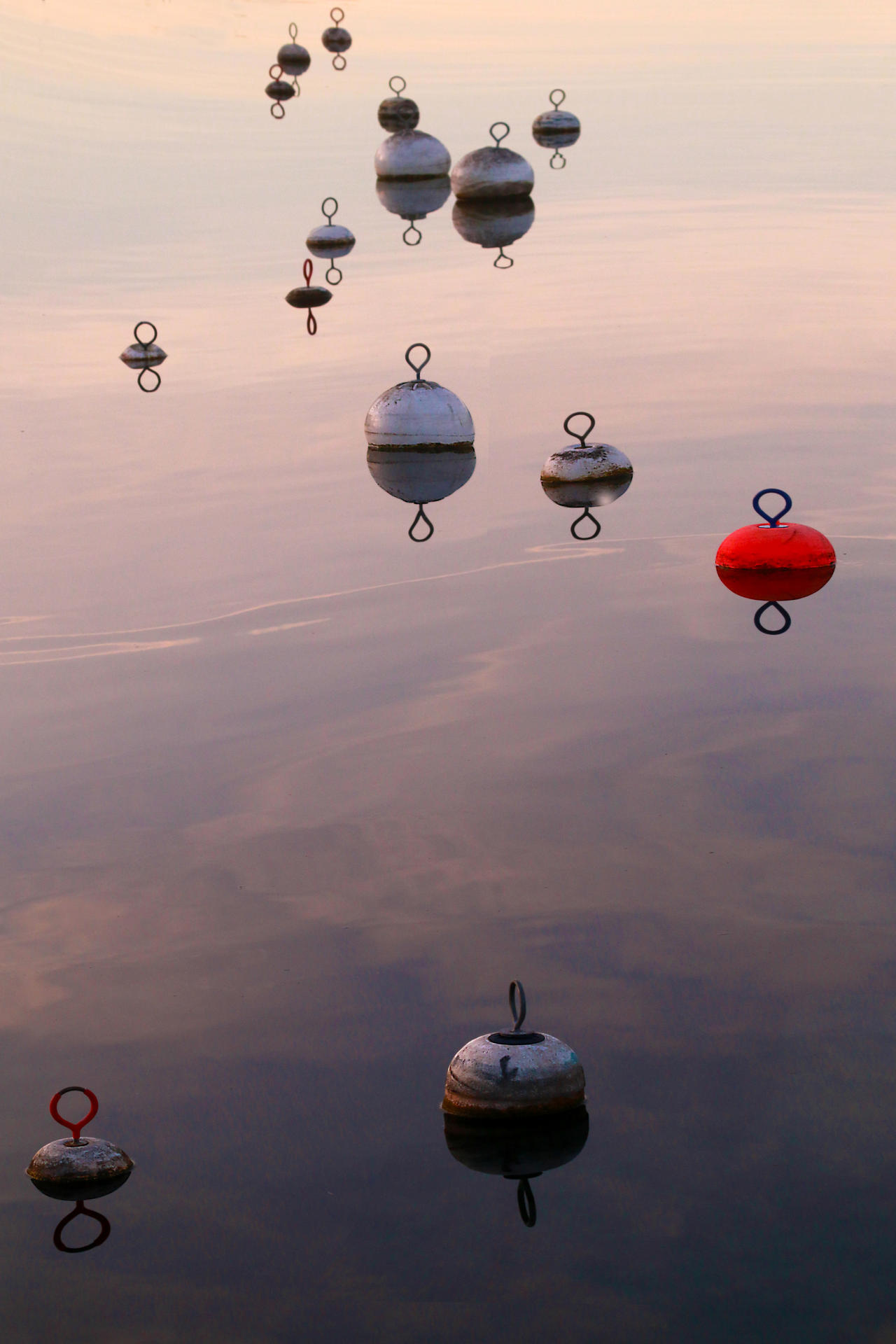 Ornements or Satellites by organicvision on DeviantArt