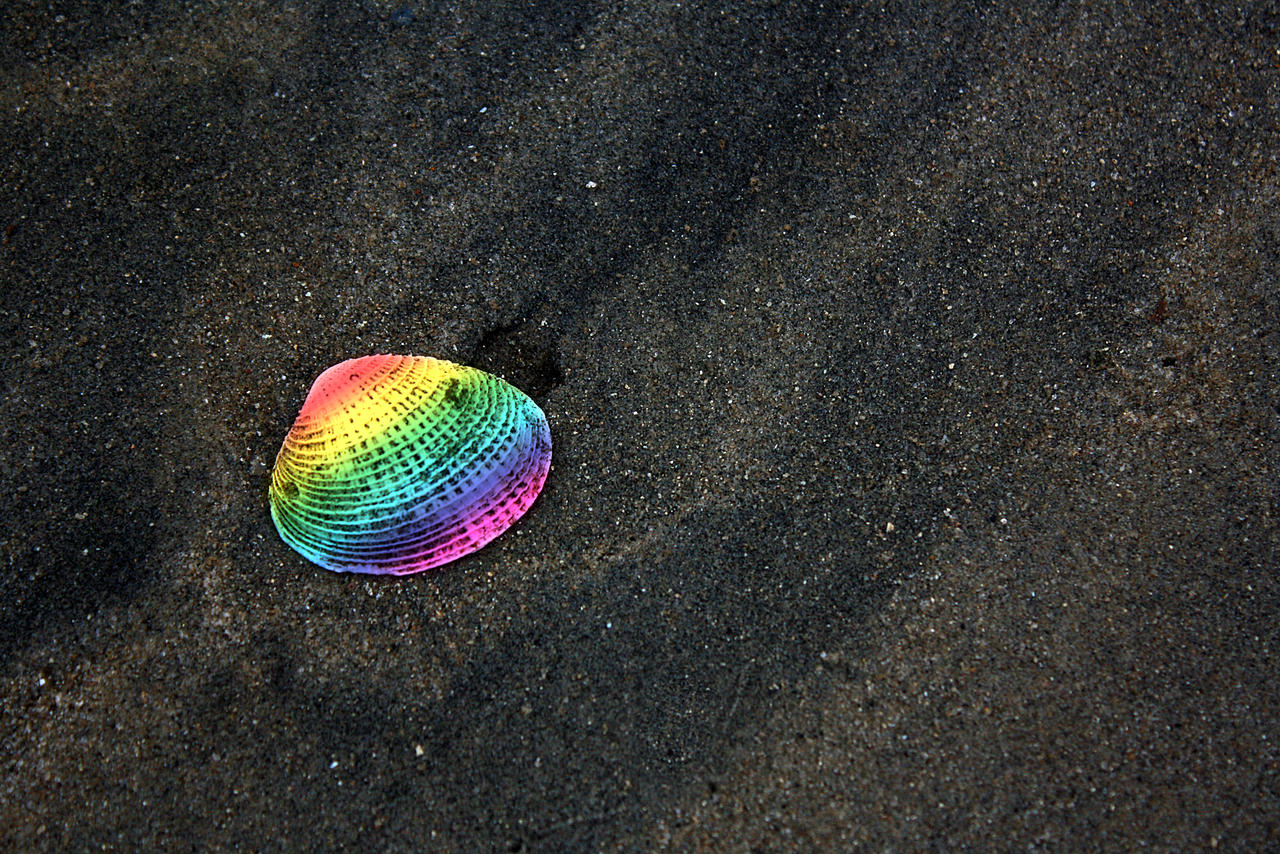 Raibow Shell Rainbow Shell by Reitanna-Seishin on DeviantArt