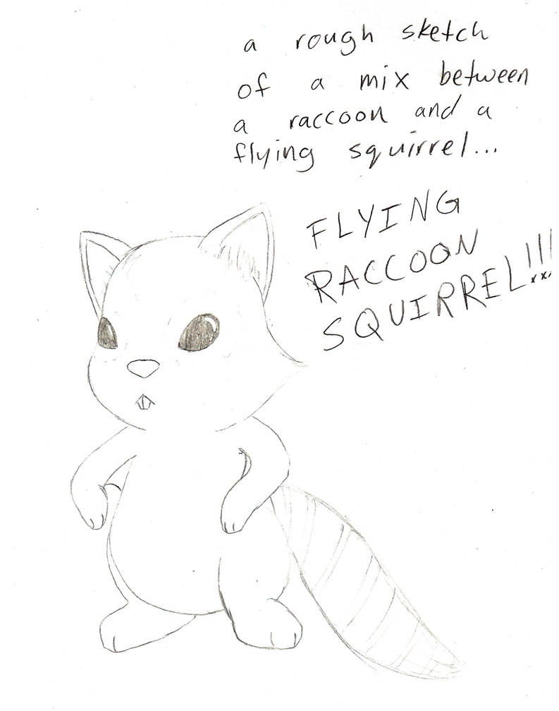 Flying Racoon 12 Flying Racoon Squirrel Concept by Reitanna-Seishin on DeviantArt