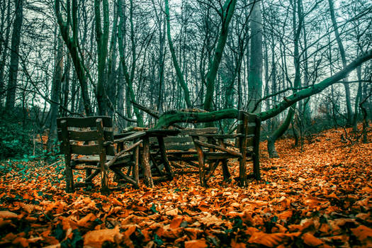 Bltter Stuhl im Wald