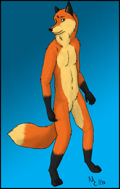 Fox Anthro Practice