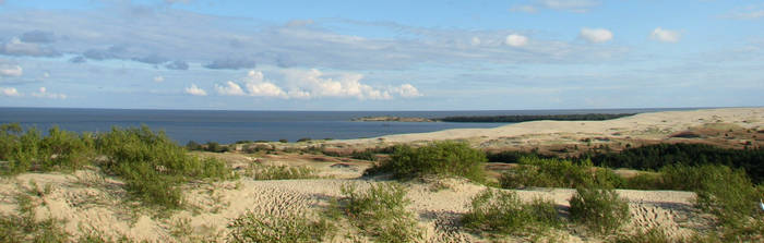 in the dunes