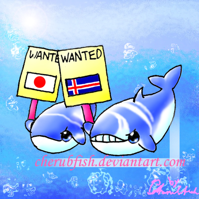 Whales Wanted