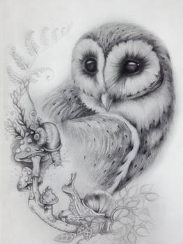 Owl and Snails