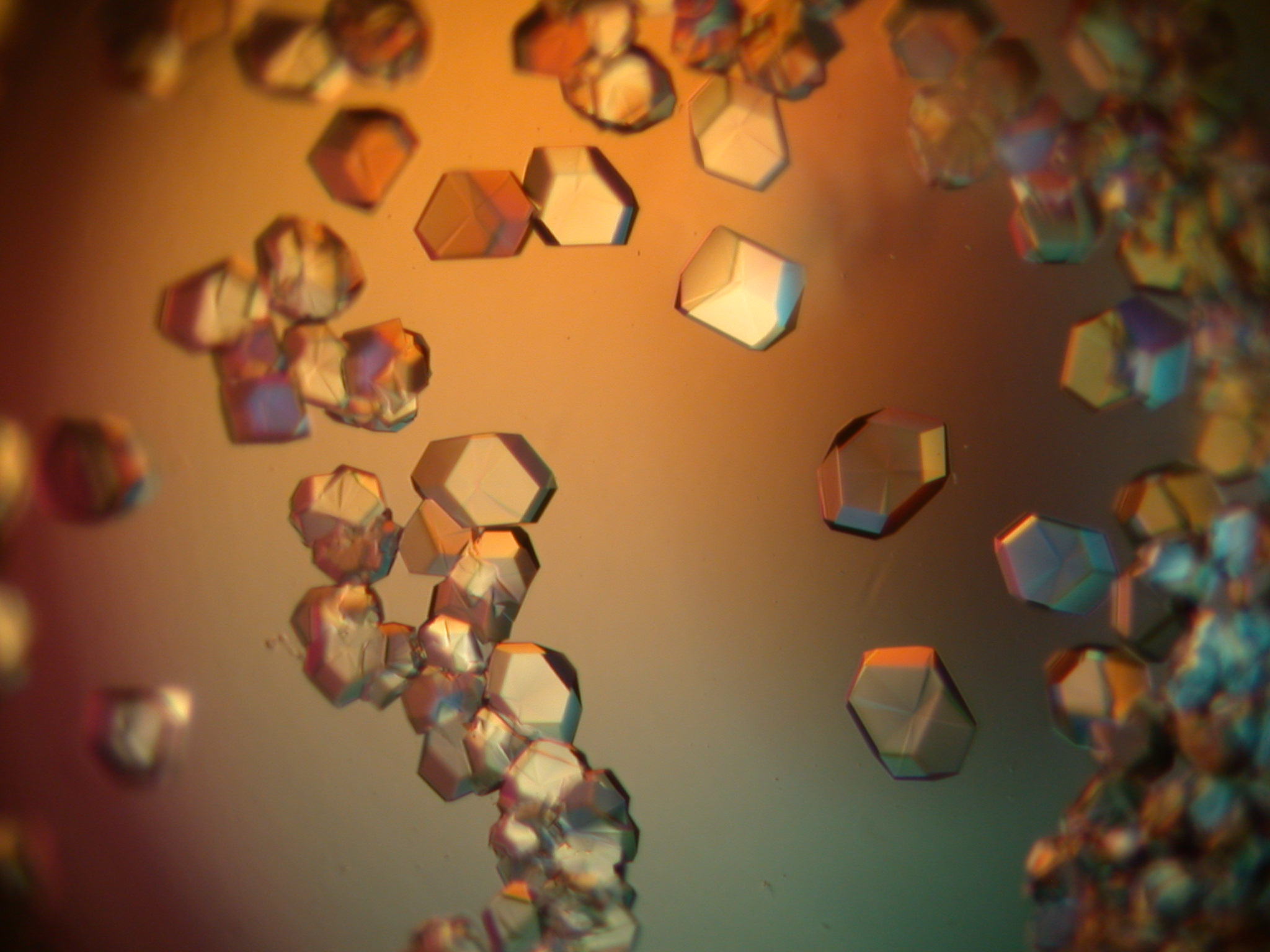 Protein Crystals