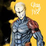 Gray Fox