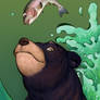 American Black Bear