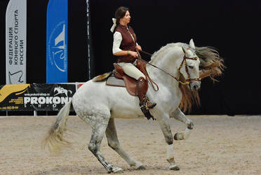 Andalusian 3