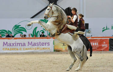 Andalusian 1