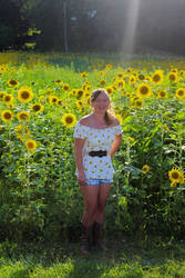 sunflower patch 