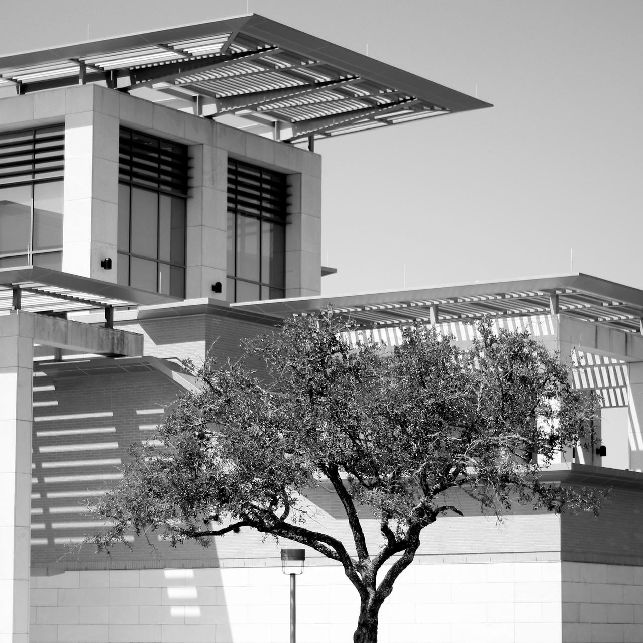Texas A And M Campus By NeuroticMatt On DeviantArt texas-a-and-m-campus-by-neuroticmatt-on-deviantart