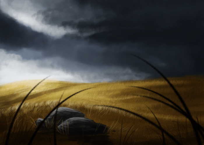 speedpaint/fields