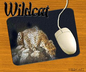 Wildcat Mousepad