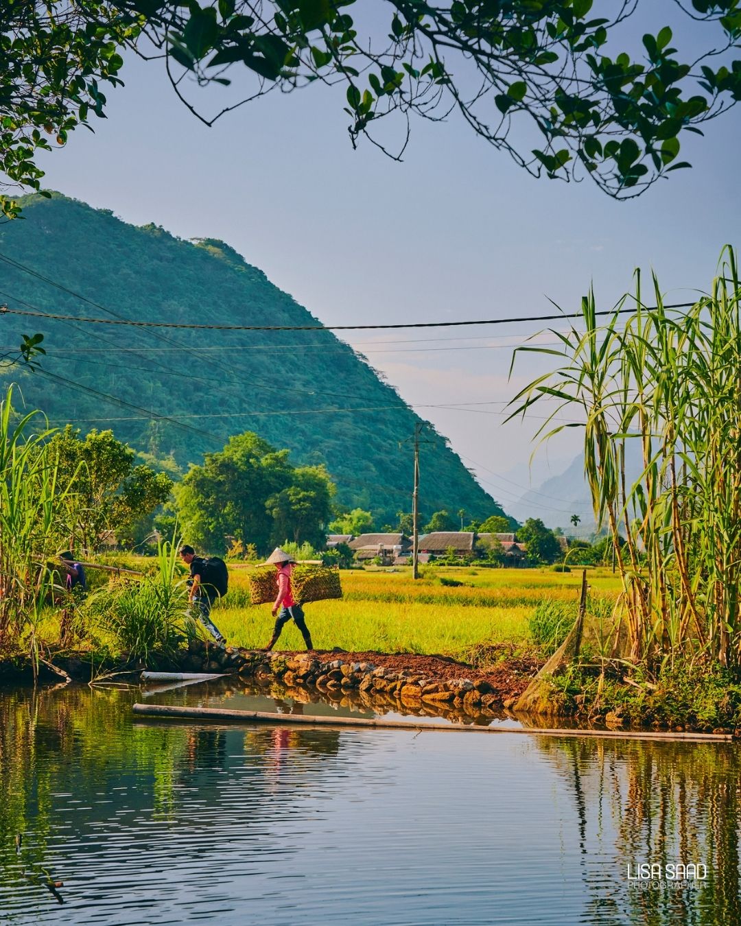 Crossing Bridges Vietnam Lisa Saad by LisaSaadPhotography on