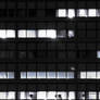 City Windows Texture