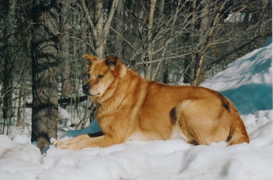 Lioness over her kingdom