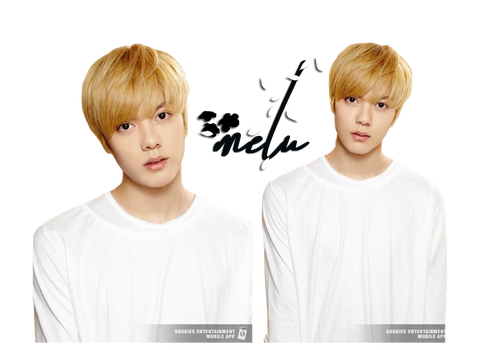 Renders || Hansol