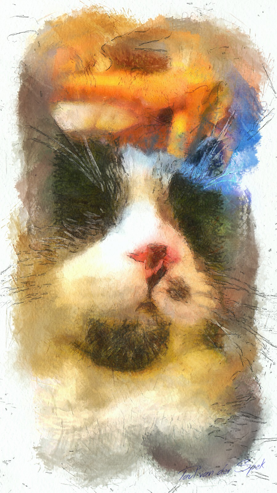 My kitten Lucy waterpainting