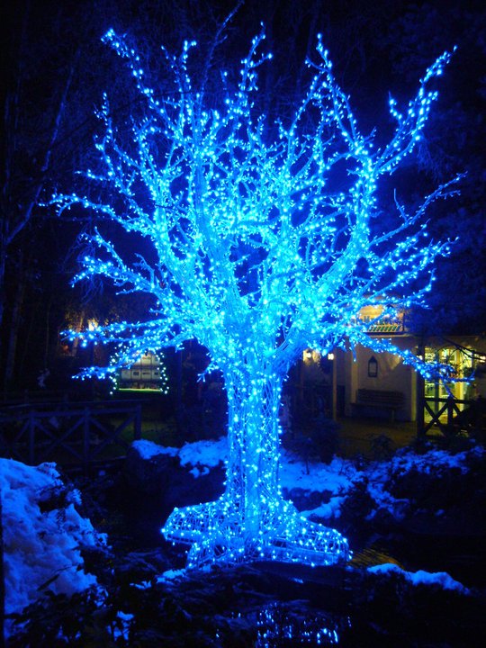 tree with lights