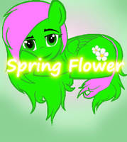 Spring Flower