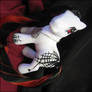 Arachne Custom MLP