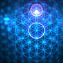 True Flower of Life