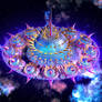 Starship Mandala